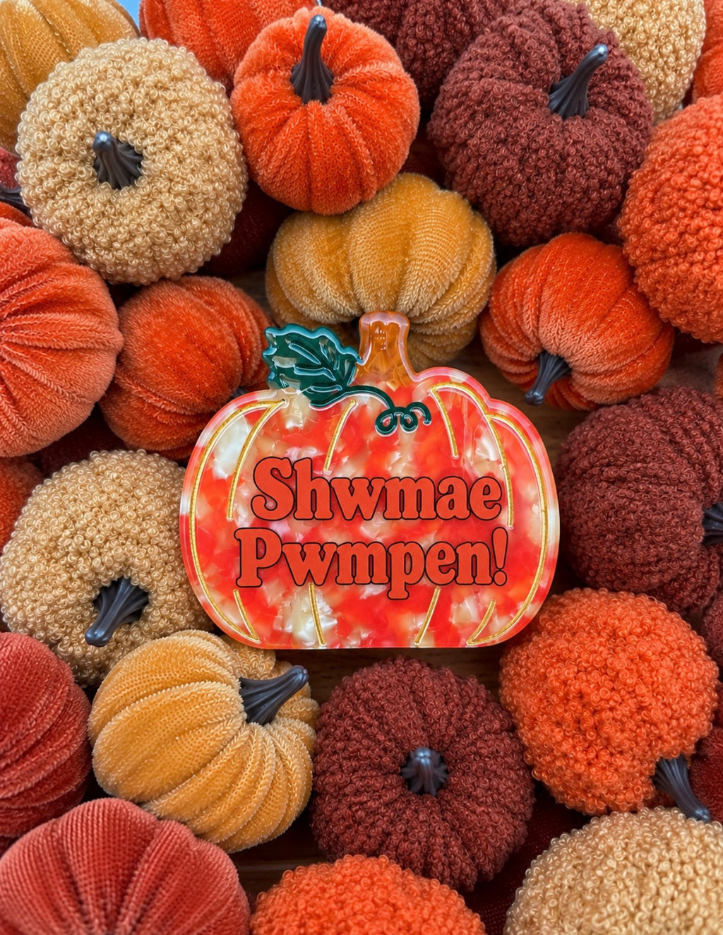 Shwmae Pwmpen! Claw Clip!